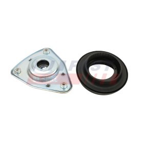 Lagerung, Stoßdämpfer FT12041