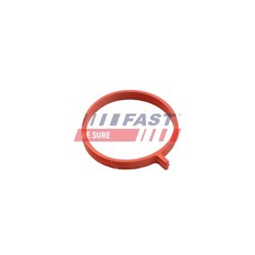 Osta Tiivisterengas, ahtoilmaletku FAST:llä FT48962 edullisesti hintaan 6,87 €