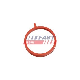 Comprar Junta anular, conducto aire admisión de FAST FT48964 a bajo precio de 5,38 €