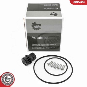 Compre Kit de reparação, bomba de vácuo (sistema de travões) da ESEN SKV 18SKV810 a um preço baixo por 34,60 €