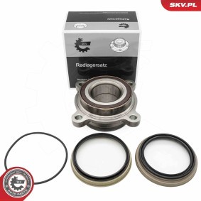 Radlagersatz 29SKV673