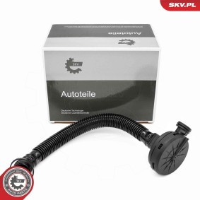 Köp Ventil, vevhusventilation av ESEN SKV 31SKV407 till det låga priset 282,24 kr
