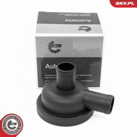 Compre Válvula reguladora da pressão de sobrealimentação da ESEN SKV 31SKV414 a um preço baixo por 15,30 €