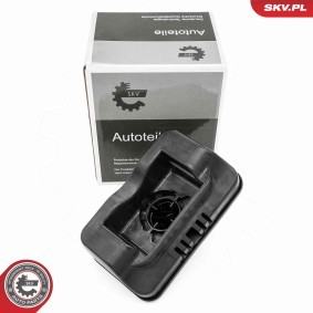 Aufnahme, Wagenheber 96SKV290