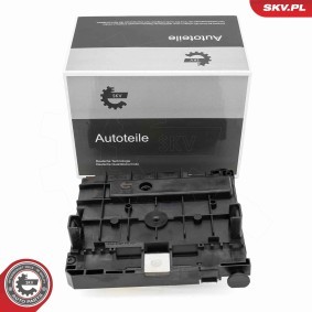 Steuergerät, Motormanagement 96SKV323