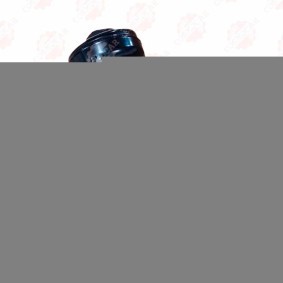 Køb Fjederben af COSMOPARTS CSMCR01421 til den lave pris 1072781,32 DKK