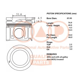Kolben 100-07009