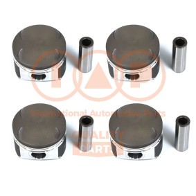 Compre Êmbolo da IAP QUALITY PARTS 101-25030 a um preço baixo por 341,28 €