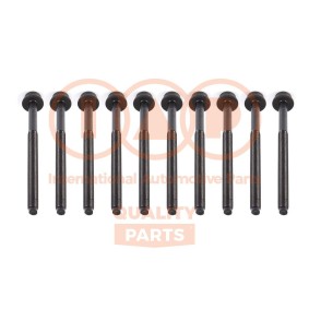 Compre Jogo de parafusos da cabeça do motor da IAP QUALITY PARTS 119-50043 a um preço baixo por 101,29 €