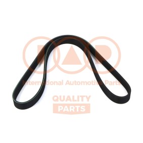 Keilrippenriemen von IAP QUALITY PARTS