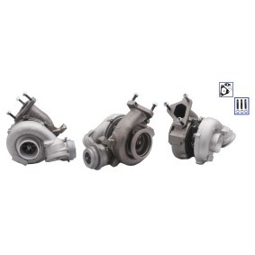 Turbolader TE7098381