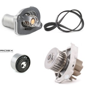 Achetez des Kit de distribution + pompe à eau RIDEX 3096W0718 à prix pour 82,46 €