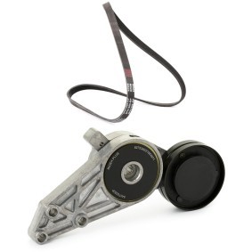 Keilrippenriemensatz von RIDEX PLUS