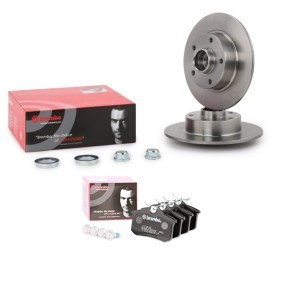 Bremsscheiben und -beläge für RENAULT von BREMBO