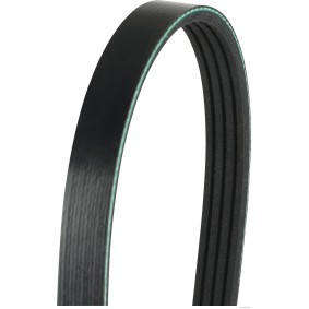 Achetez des Courroie Poly-V HERTH+BUSS JAKOPARTS J1040781 à prix pour 25,94 €