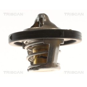 Kühlwasserthermostat von TRISCAN