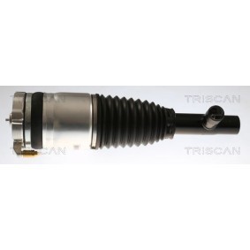 Acquista Molla pneumatica da TRISCAN 8720 27101 a buon mercato per soli 700,78 €
