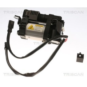 Compre Compressor de suspensão a ar da TRISCAN 8725 27101 a um preço baixo por 348,75 €
