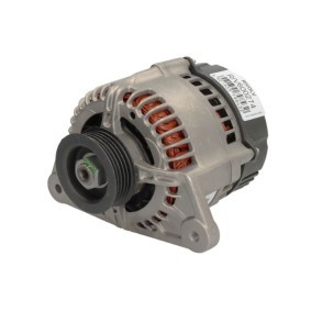 Lichtmaschine RIV600274