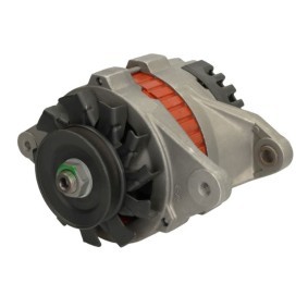 Lichtmaschine RIV600779