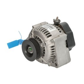 Lichtmaschine RIV601079