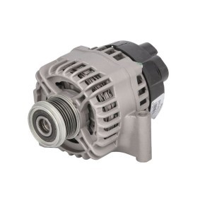 Lichtmaschine RIV610304
