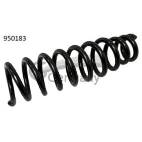 Osta Jousi (auton jousitus) CS Germany:llä 14.950.183 edullisesti hintaan 57,38 €