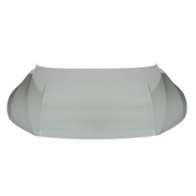 Motorhaube 6803-00-9566280P