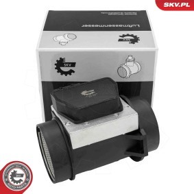 Luftmassenmesser (LMM) 07SKV255