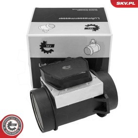 Luftmassenmesser (LMM) 07SKV256