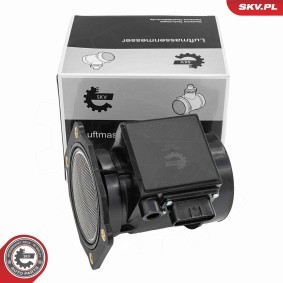 Luftmassenmesser (LMM) 07SKV268