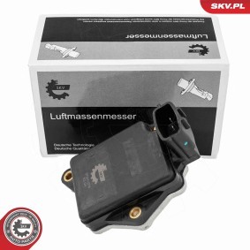 Luftmassenmesser (LMM) 07SKV276