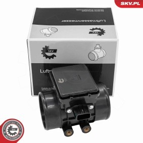 Acquista Debimetro da ESEN SKV 07SKV287 a buon mercato per soli 74,15 €