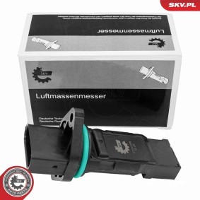Luftmassenmesser (LMM) 07SKV299