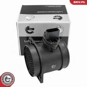 Luftmassenmesser (LMM) 07SKV300