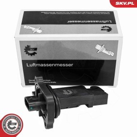 Luftmassenmesser (LMM) 07SKV334