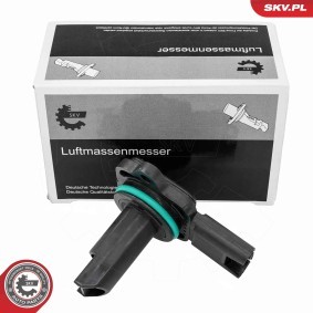 Luftmassenmesser (LMM) 07SKV341