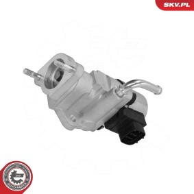 AGR-Ventil 14SKV319