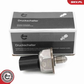Kraftstoffdrucksensor 17SKV050