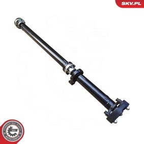 Acquista Testina braccio oscillante da ESEN SKV 69SKV877 a buon mercato per soli 10,19 €