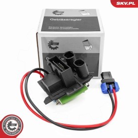 Bremssattelhalter von ESEN SKV günstig für 24,65 €