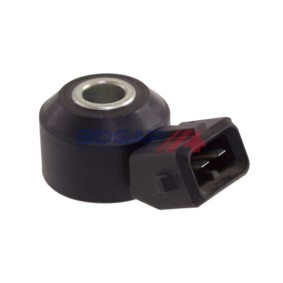 Klopfsensor B6113100