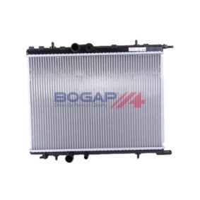 Acquista Vaschetta acqua radiatore da BOGAP online per 307 SW Cassone / Furgonato / Promiscuo (3E_, 3H_) a prezzi moderati