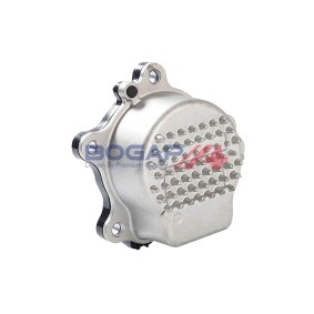 Achetez des Pompe à eau BOGAP T4232103 à prix pour 239,92 €