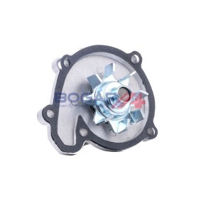 Wasserpumpe V4234102