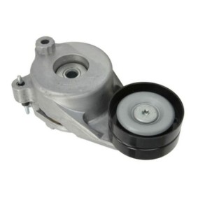 Comprar Tensor de correa poli V de GOOM BT-0059 a bajo precio de 77,82 €