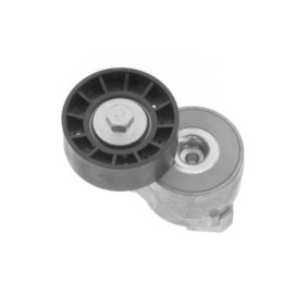 Compre Tensor de correia, correia trapezoidal estriada da GOOM BT-0069 a um preço baixo por 47,71 €