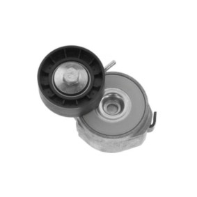 Compre Tensor de correia, correia trapezoidal estriada da GOOM BT-0070 a um preço baixo por 38,83 €