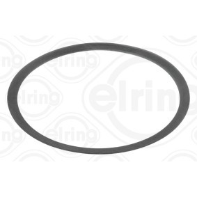 Dichtung, Abgasrohr für RENAULT TRUCKS von ELRING
