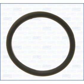 Dichtring, Ansaugschlauch-Luftfiltergehäuse 00692600 für PROTON